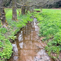 23-04-30 11-15-20 5234